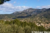 Mirador 2 2011